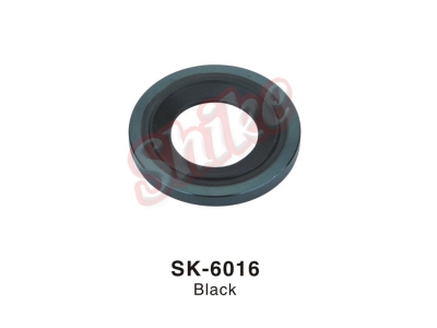 SK-6016